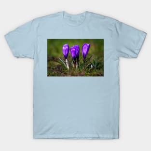 Spring Crocuses T-Shirt